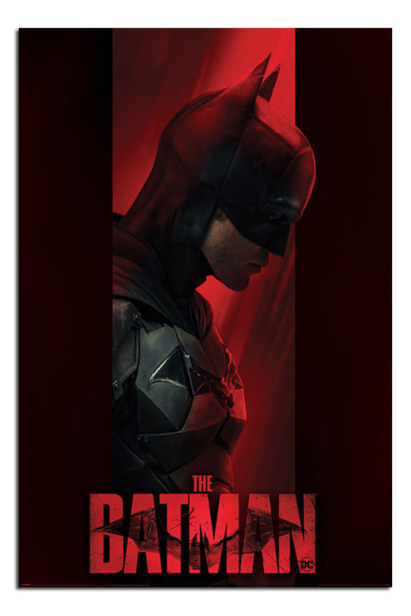 The Batman Out Of The Shadows Poster